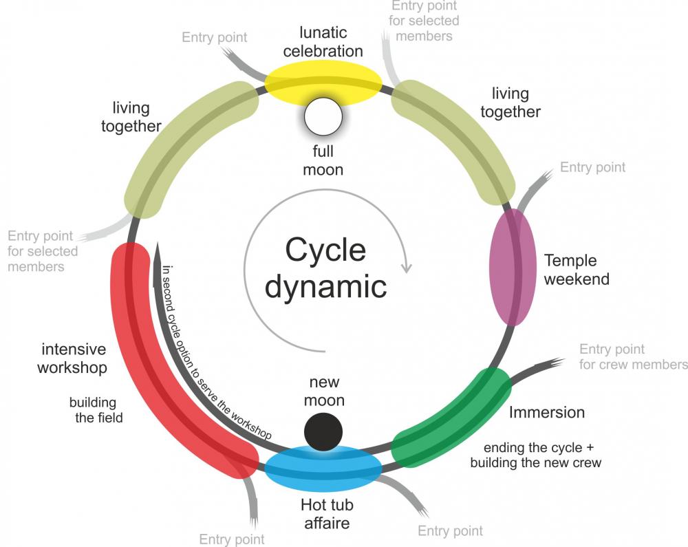 cycle grafic